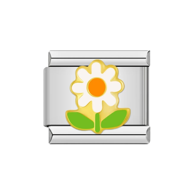 Daisy Pop