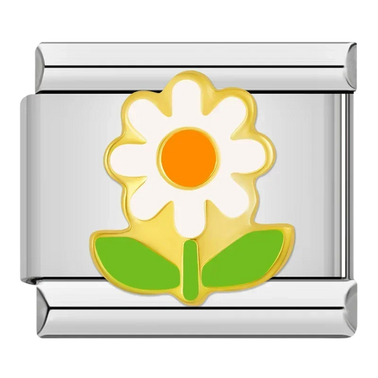 Daisy Pop