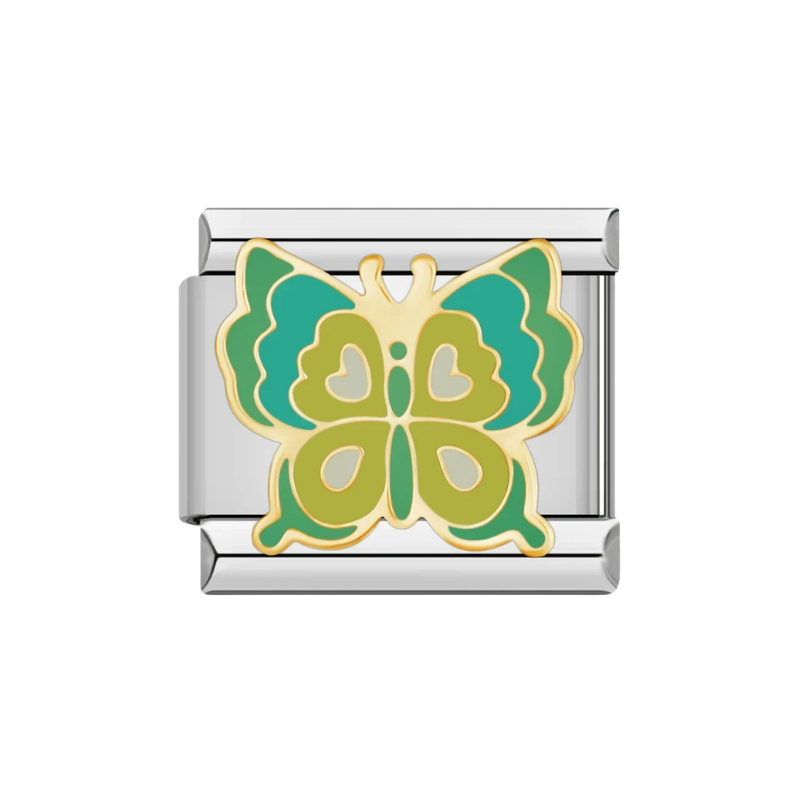 Full Flutter