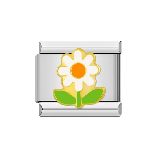 Daisy Pop